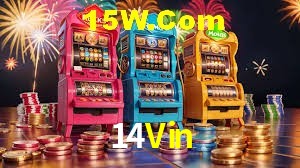 Bonus Features 14Vin
