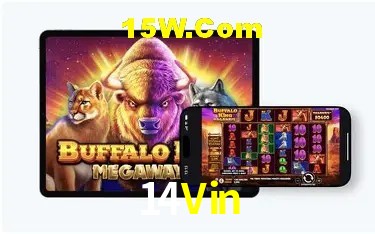 Welcome Bonus 14Vin
