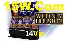 VIP Casino 14Vin